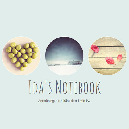 Ida's Notebook