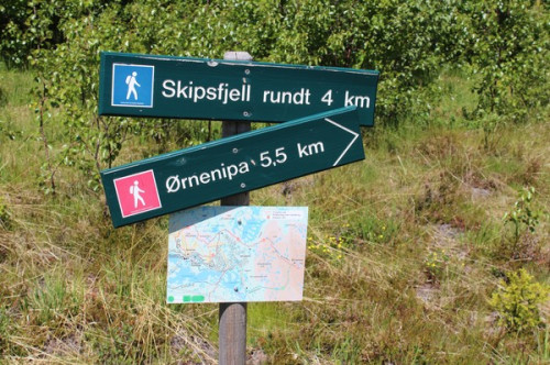 Norge-resa: Solovandring till Ørnenipa (Tinn kommune) Många bilder.