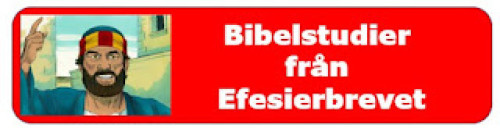 Bibelstudier från Efesierbrevet del 9:  Tjänstegåvor (fortsättning)