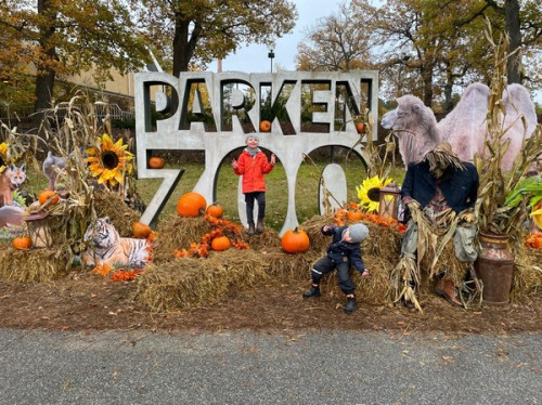 Halloween på Parken Zoo