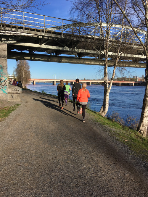 Löpgrupp Umeå – från nybörjare till 5 km och Vårruset