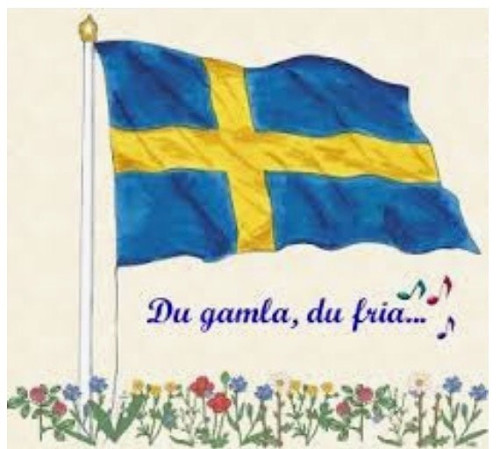 Sveriges nationaldag 6 juni 🇸🇪