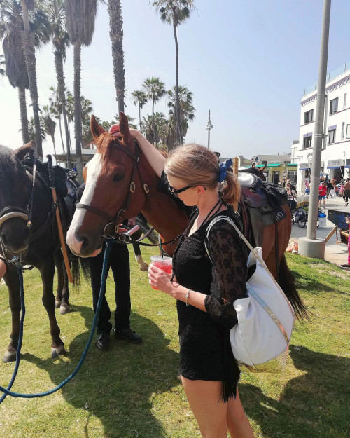 I met a horse