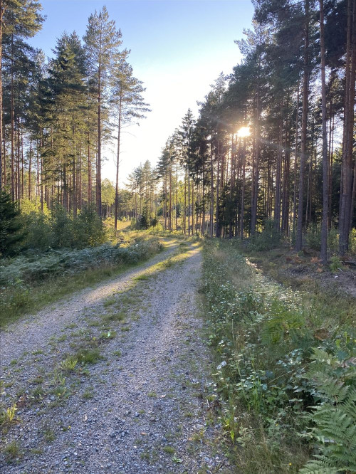18/9-22 Söndag