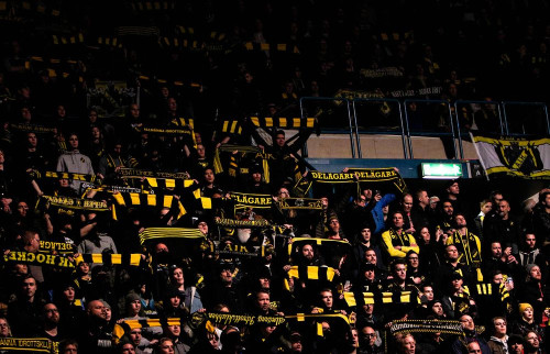 Publikfest på Hovet?