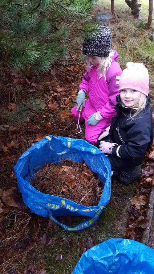 På 10 minuter - täcka blåbären