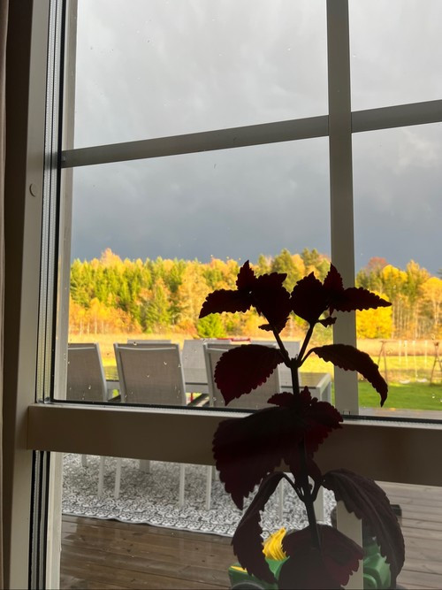 16 oktober, söndag