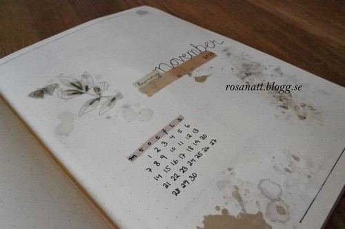 November i min Bullet Journal