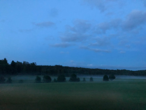 48h tystnad