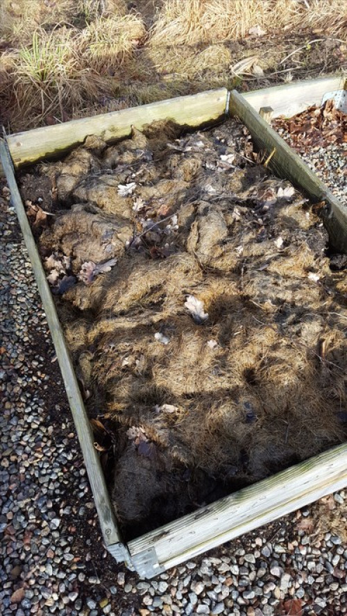 Täckodling del 1 - varför?