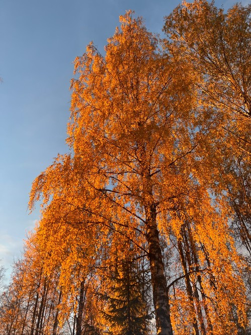 9 oktober, söndag