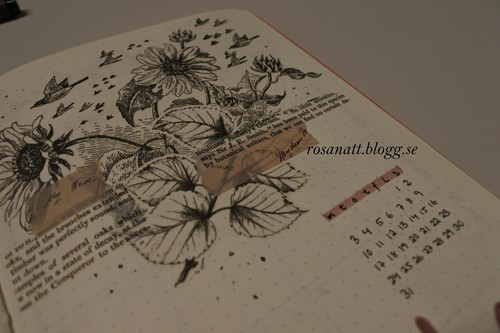 Oktober i min Bullet Journal