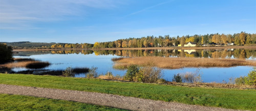 Onsdag 12 oktober. Härliga bilder...