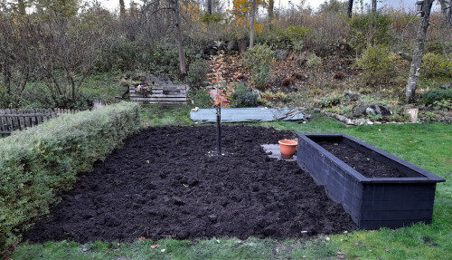 Söndag 16 oktober. Nygrävt eller höstgrävt... ?