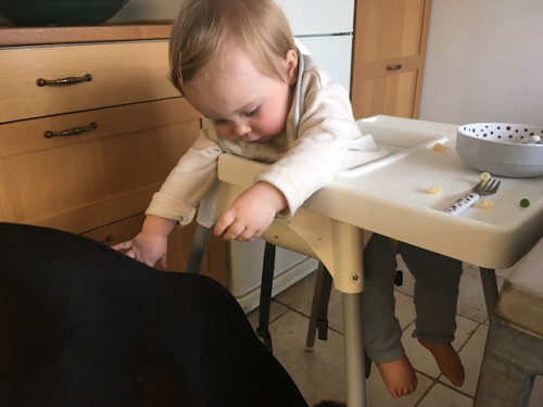 Nya vanor. Inte mina vanor