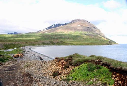 Partiledare vill att Island återupptar sökande efter naturgas