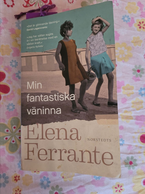 Elena Ferrante Min fantastiska väninna