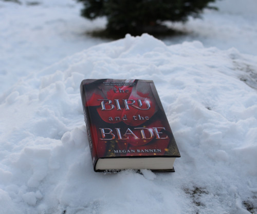 The Bird and The Blade av Megan Bannen