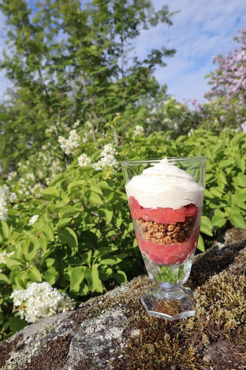 Glutenfri rabarberpaj i glas