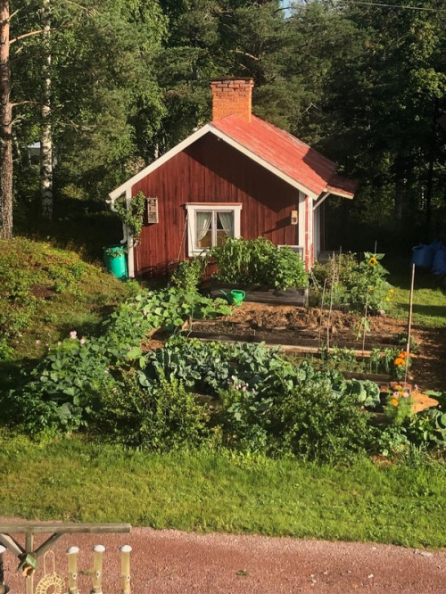 En trädgårdsdag! 💚