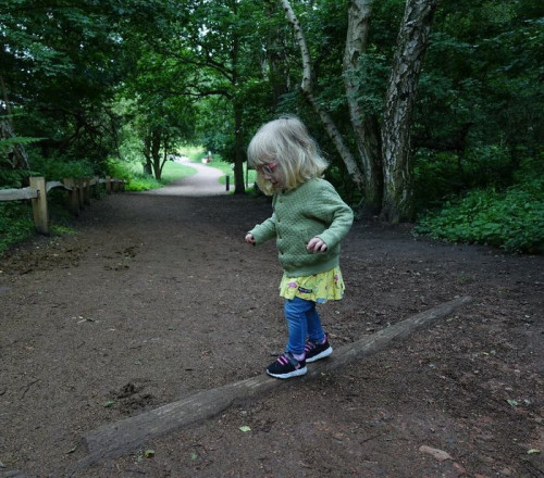 Mot Sherwoodskogen