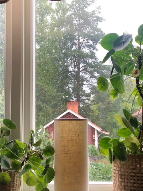 Regn regn regn.. 🌧