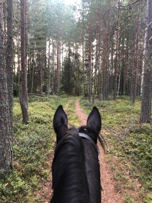 Den här veckan..