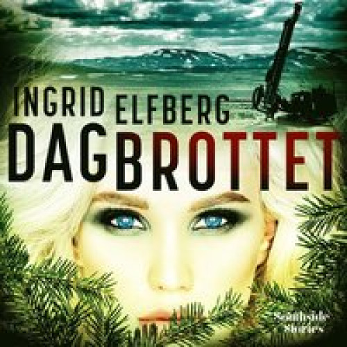 Dagbrottet av Ingrid Elfberg