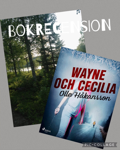Wayne och Cecilia av Olle Håkansson
