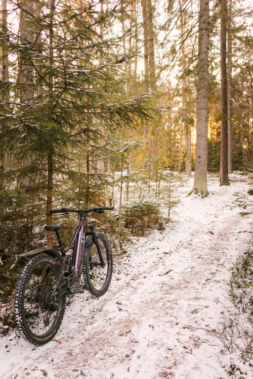 Cykling på vintern