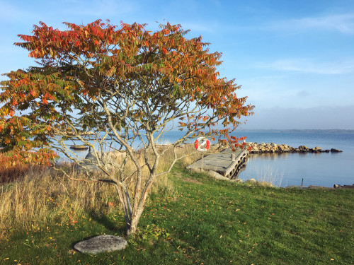 Aspö – fästningarnas och fästingarnas ö – i oktober