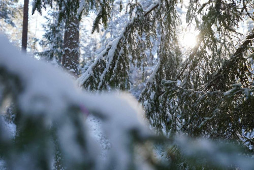 Vandra i Skärmarbodabergen på vintern - Örebros lilla Narnia