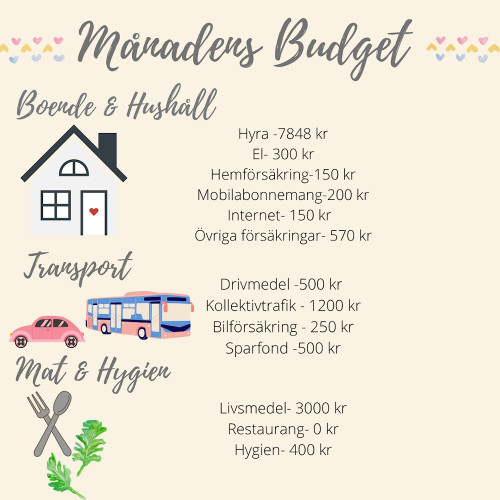 Månadens budget-juni